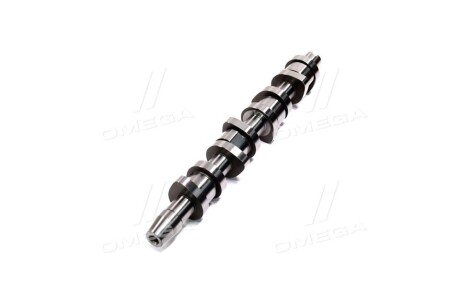 Фото 4 - Розподільний вал AE CAM994