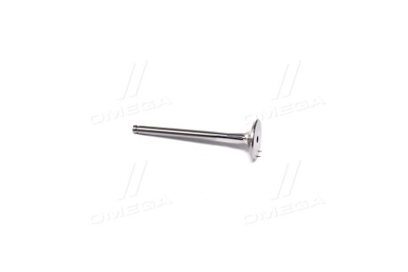 Фото 3 - Клапан випускний AE V91836