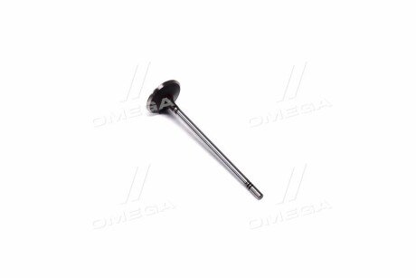 Клапан впускний IN OPEL A16XER/A18XER/Z16LEL/Z16LER/Z16XER/Z16LET/Z18XER 31.2X5X113.8 - (55557741, 641076) AE V98024