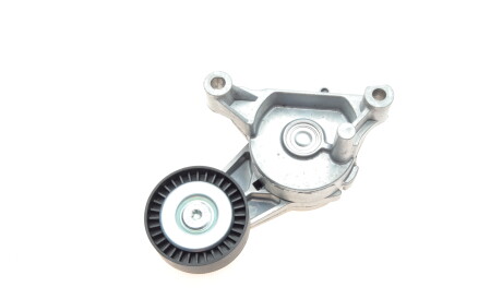 Фото 2 - Ролик ремня приводного AIC 54766