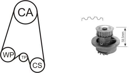 Насос охолоджуючої рідини + комплект зубчатого ременя - AIRTEX WPK-116401