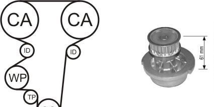 Водяной насос + комплект зубчатого ремня - AIRTEX WPK-144602