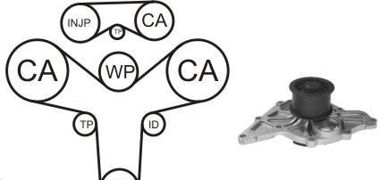 Водяной насос + комплект зубчатого ремня - AIRTEX WPK-159601