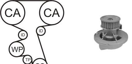Водяной насос + комплект зубчатого ремня - AIRTEX WPK-164201