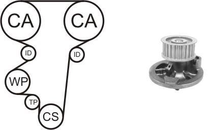 Насос охолоджуючої рідини + комплект зубчатого ременя - AIRTEX WPK-169601