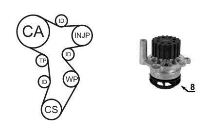 Насос охолоджуючої рідини + комплект зубчатого ременя - AIRTEX WPK-199201