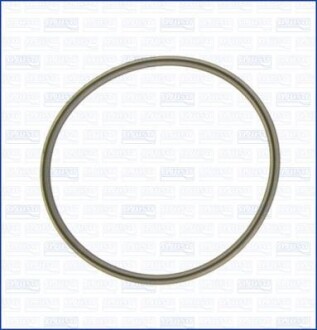 Елемент повітряної заслінки (ущільнення дросельної заслінки) NISSAN MICRA C+C III, MICRA III, NOTE 1.2/1.4/1.4LPG 03.02-08.13 - AJUSA 01070300