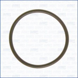 Ущільнення, впускний колектор - AJUSA 16026300