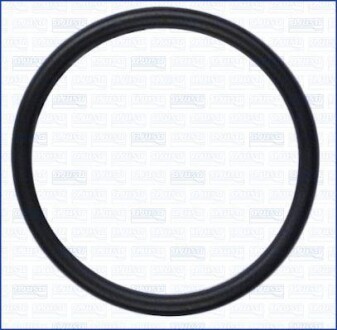 Ущільнення, впускний колектор - AJUSA 16505900