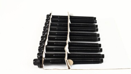 Фото 2 - Болты головки блока цилиндров AJUSA 81024700