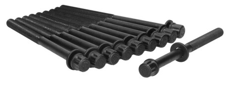 Фото 3 - Болти головки блоку циліндрів AJUSA 81028900