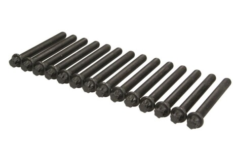 Комплект болтов головки цилидра - AJUSA 81029600