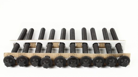 Фото 3 - Болты головки блока цилиндров AJUSA 81031800