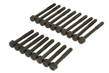 Фото 2 - Болты головки блока цилиндров AJUSA 81035300