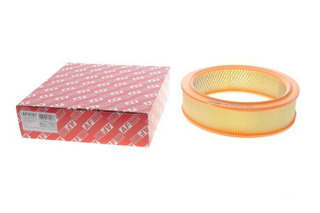 Фото 2 - Воздушный фильтр ALPHA FILTER AF0101