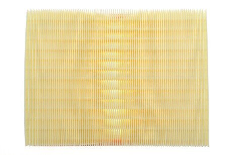 Фото 4 - Воздушный фильтр ALPHA FILTER AF1605