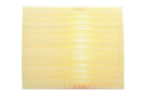 Фото 4 - Повітряний фільтр ALPHA FILTER AF1607