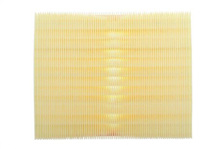 Фото 4 - Повітряний фільтр ALPHA FILTER AF1608