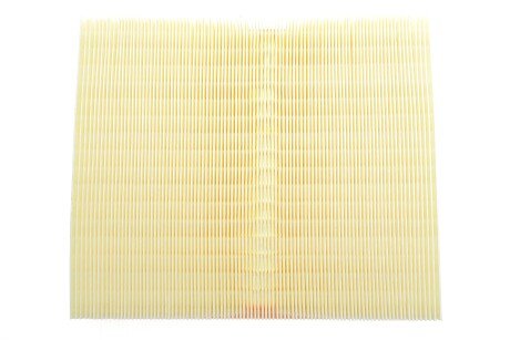 Фото 4 - Повітряний фільтр ALPHA FILTER AF1609