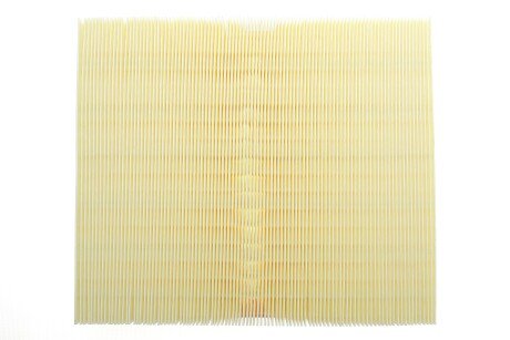 Фото 4 - Повітряний фільтр ALPHA FILTER AF1609S