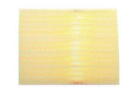 Фото 4 - Воздушный фильтр ALPHA FILTER AF1610