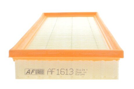 Фото 3 - Повітряний фільтр ALPHA FILTER AF1613