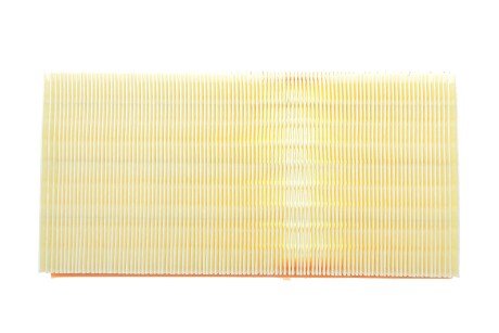 Фото 4 - Повітряний фільтр ALPHA FILTER AF1613