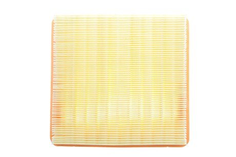 Фото 4 - Повітряний фільтр ALPHA FILTER AF1617