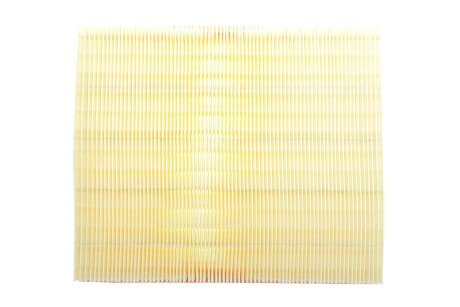 Фото 4 - Повітряний фільтр ALPHA FILTER AF1619