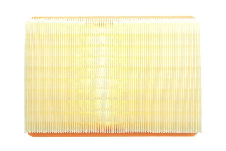 Фото 4 - Воздушный фильтр ALPHA FILTER AF1628