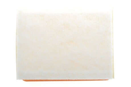 Фото 4 - Воздушный фильтр ALPHA FILTER AF1631