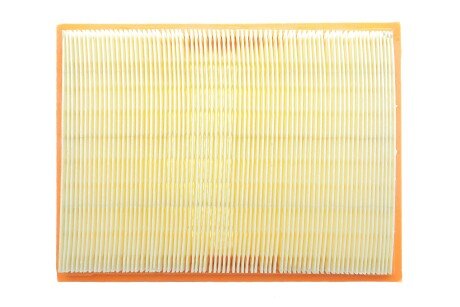 Фото 4 - Повітряний фільтр ALPHA FILTER AF1639S