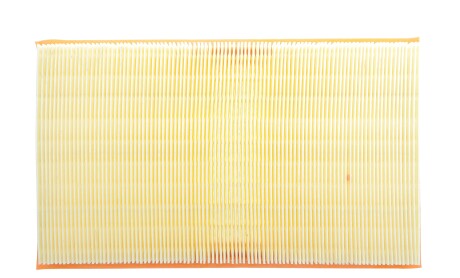 Фото 4 - Повітряний фільтр ALPHA FILTER AF1646S