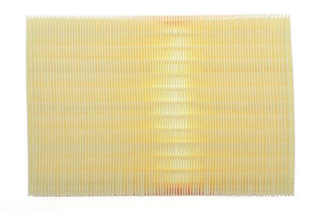 Фото 4 - Воздушный фильтр ALPHA FILTER AF1647