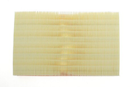 Фото 4 - Повітряний фільтр ALPHA FILTER AF1649s