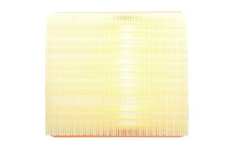 Фото 4 - Повітряний фільтр ALPHA FILTER AF1675