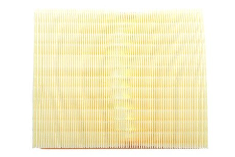 Фото 4 - Воздушный фильтр ALPHA FILTER AF1698