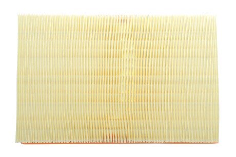 Фото 4 - Повітряний фільтр ALPHA FILTER AF1737S