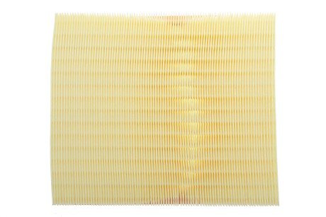 Фото 4 - Повітряний фільтр ALPHA FILTER AF1746s