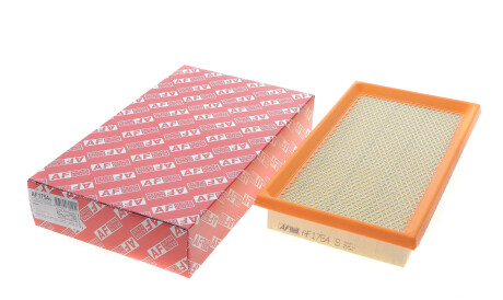 Фото 2 - Повітряний фільтр ALPHA FILTER AF1754S
