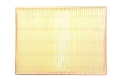 Фото 4 - Повітряний фільтр ALPHA FILTER AF1779