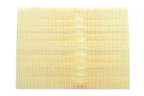 Фото 4 - Повітряний фільтр ALPHA FILTER AF1791