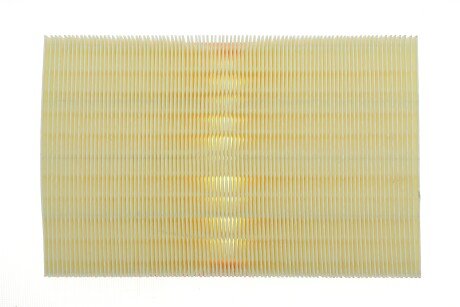 Фото 4 - Воздушный фильтр ALPHA FILTER AF1801