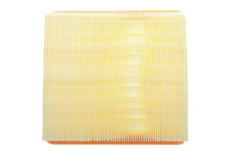 Фото 4 - Воздушный фильтр ALPHA FILTER AF1806