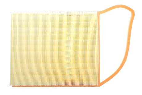 Фото 4 - Повітряний фільтр ALPHA FILTER AF1817