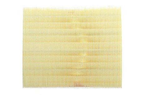 Фото 4 - Воздушный фильтр ALPHA FILTER AF1828S