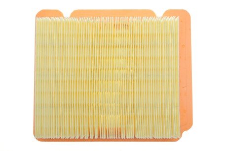 Фото 4 - Воздушный фильтр ALPHA FILTER AF1838S