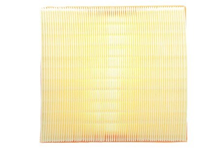 Фото 4 - Повітряний фільтр ALPHA FILTER AF1875