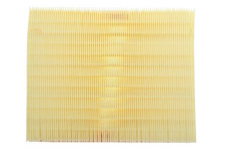 Фото 4 - Повітряний фільтр ALPHA FILTER AF1917S