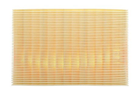 Фото 4 - Воздушный фильтр ALPHA FILTER AF1919